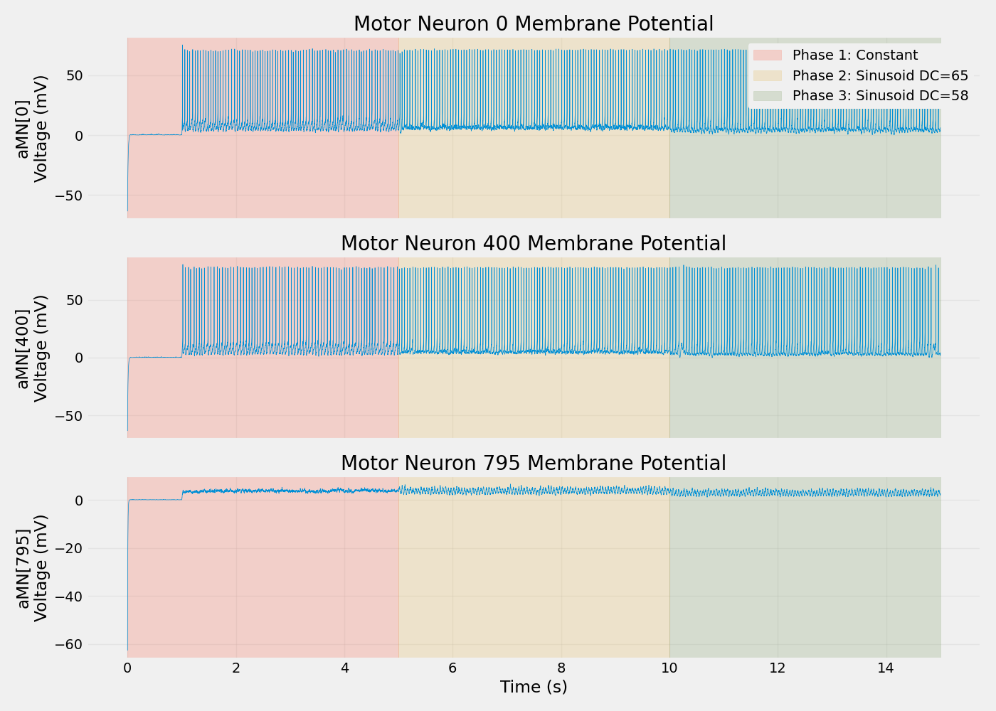 Motor Neuron 0 Membrane Potential, Motor Neuron 400 Membrane Potential, Motor Neuron 795 Membrane Potential