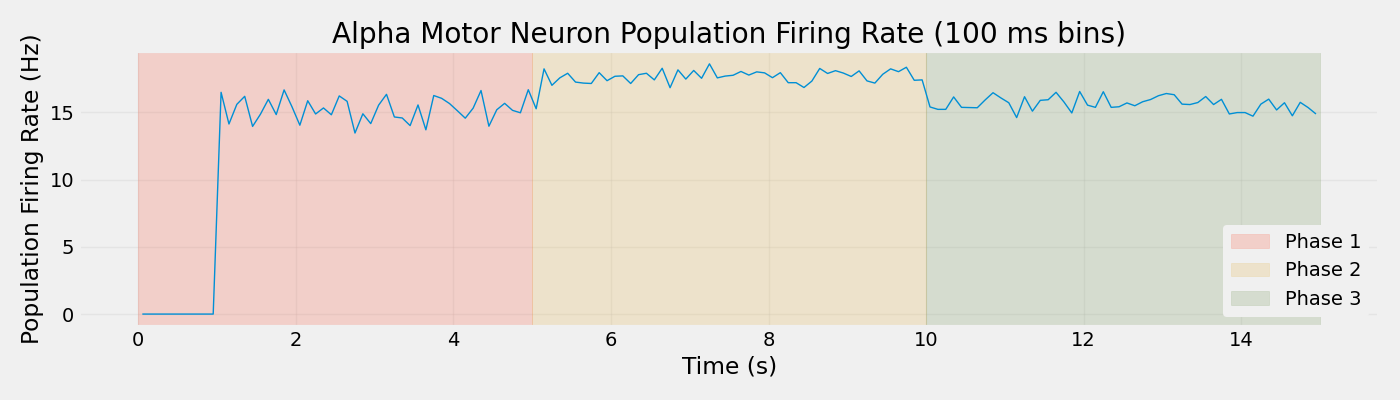Alpha Motor Neuron Population Firing Rate (100 ms bins)