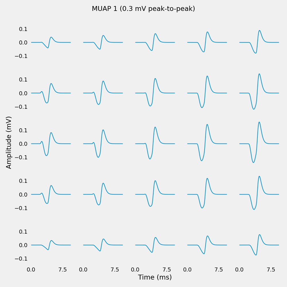 MUAP 1 (0.3 mV peak-to-peak)