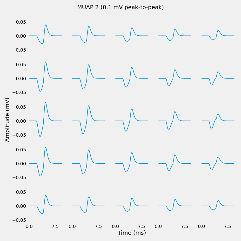 MUAP 2 (0.1 mV peak-to-peak)