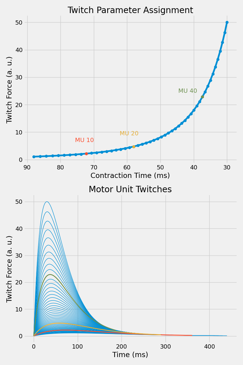 Twitch Parameter Assignment, Motor Unit Twitches