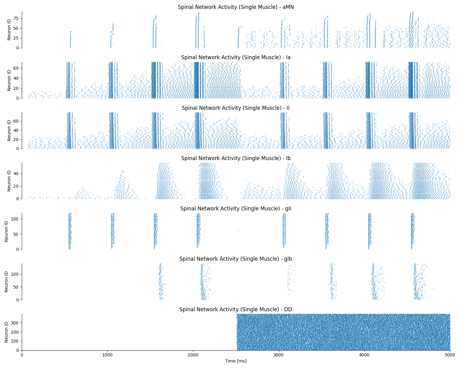 Spinal Network Activity (Single Muscle) - aMN, Spinal Network Activity (Single Muscle) - Ia, Spinal Network Activity (Single Muscle) - II, Spinal Network Activity (Single Muscle) - Ib, Spinal Network Activity (Single Muscle) - gII, Spinal Network Activity (Single Muscle) - gIb, Spinal Network Activity (Single Muscle) - DD