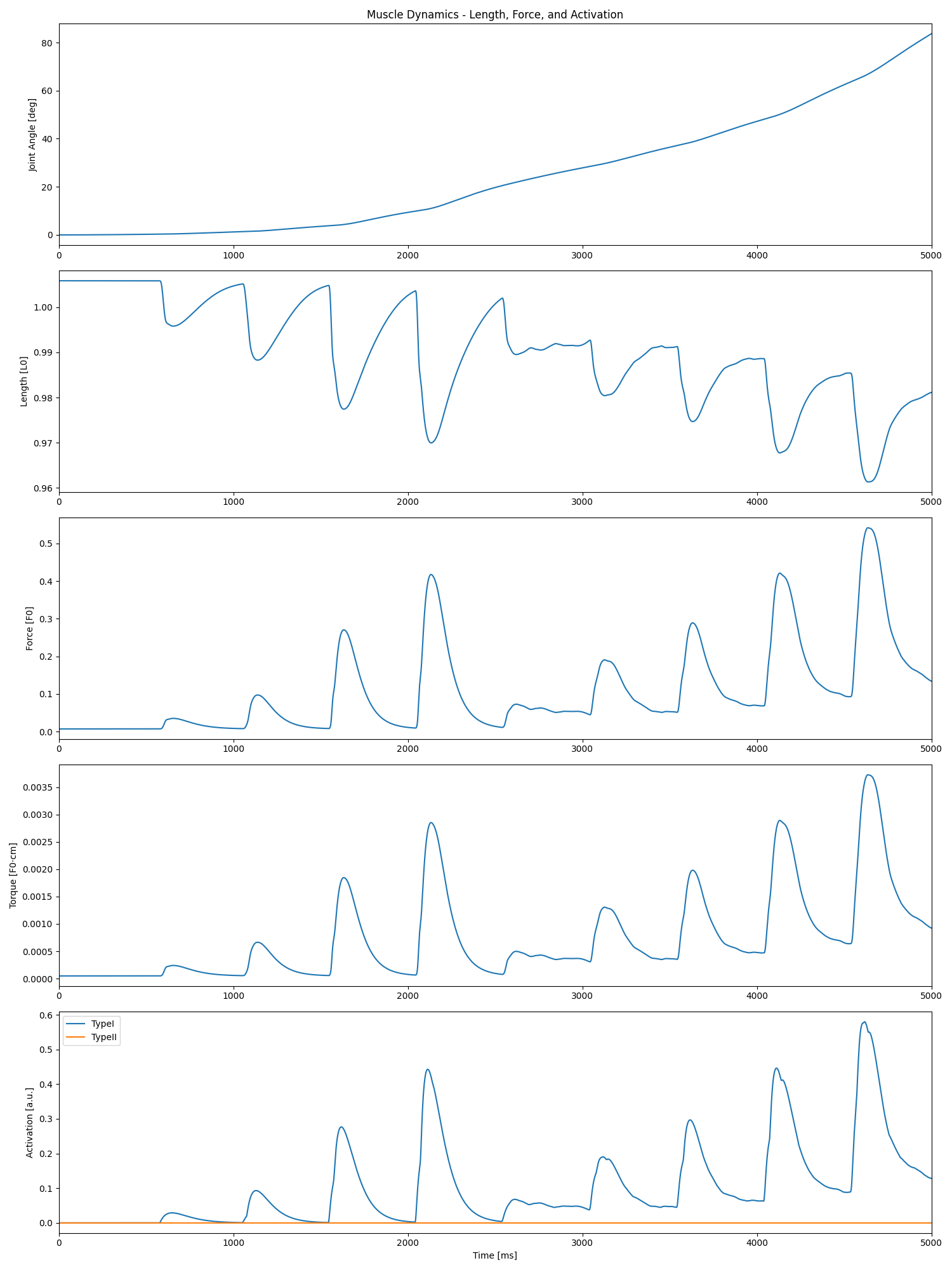 Muscle Dynamics - Length, Force, and Activation
