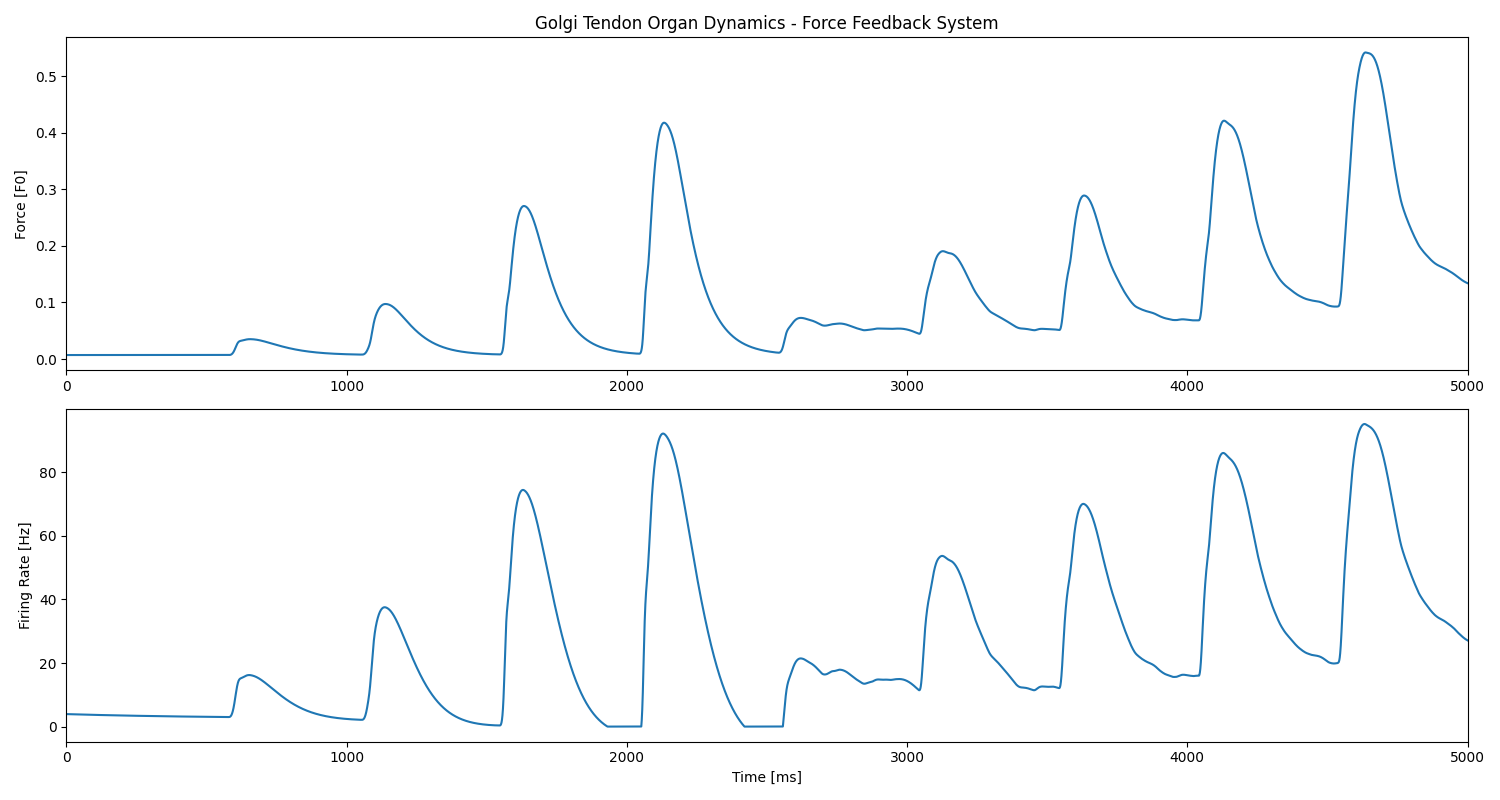 Golgi Tendon Organ Dynamics - Force Feedback System
