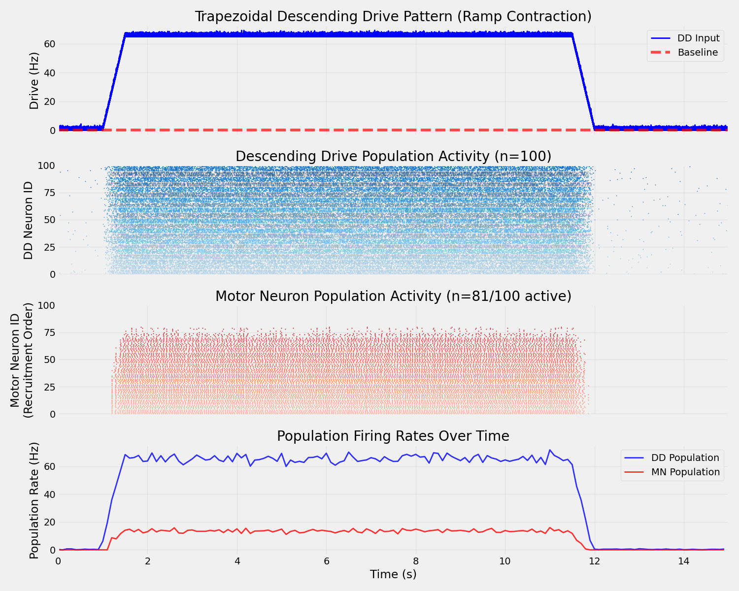 Trapezoidal Descending Drive Pattern (Ramp Contraction), Descending Drive Population Activity (n=100), Motor Neuron Population Activity (n=81/100 active), Population Firing Rates Over Time