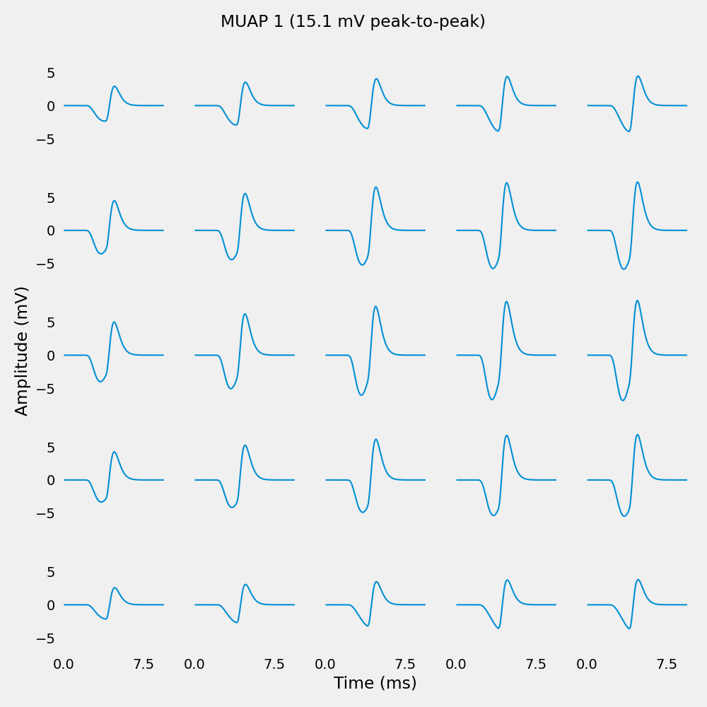 MUAP 1 (15.1 mV peak-to-peak)