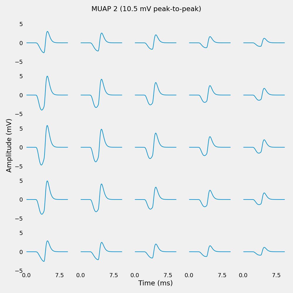 MUAP 2 (10.5 mV peak-to-peak)