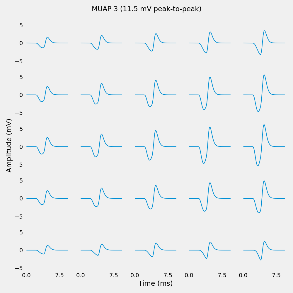 MUAP 3 (11.5 mV peak-to-peak)