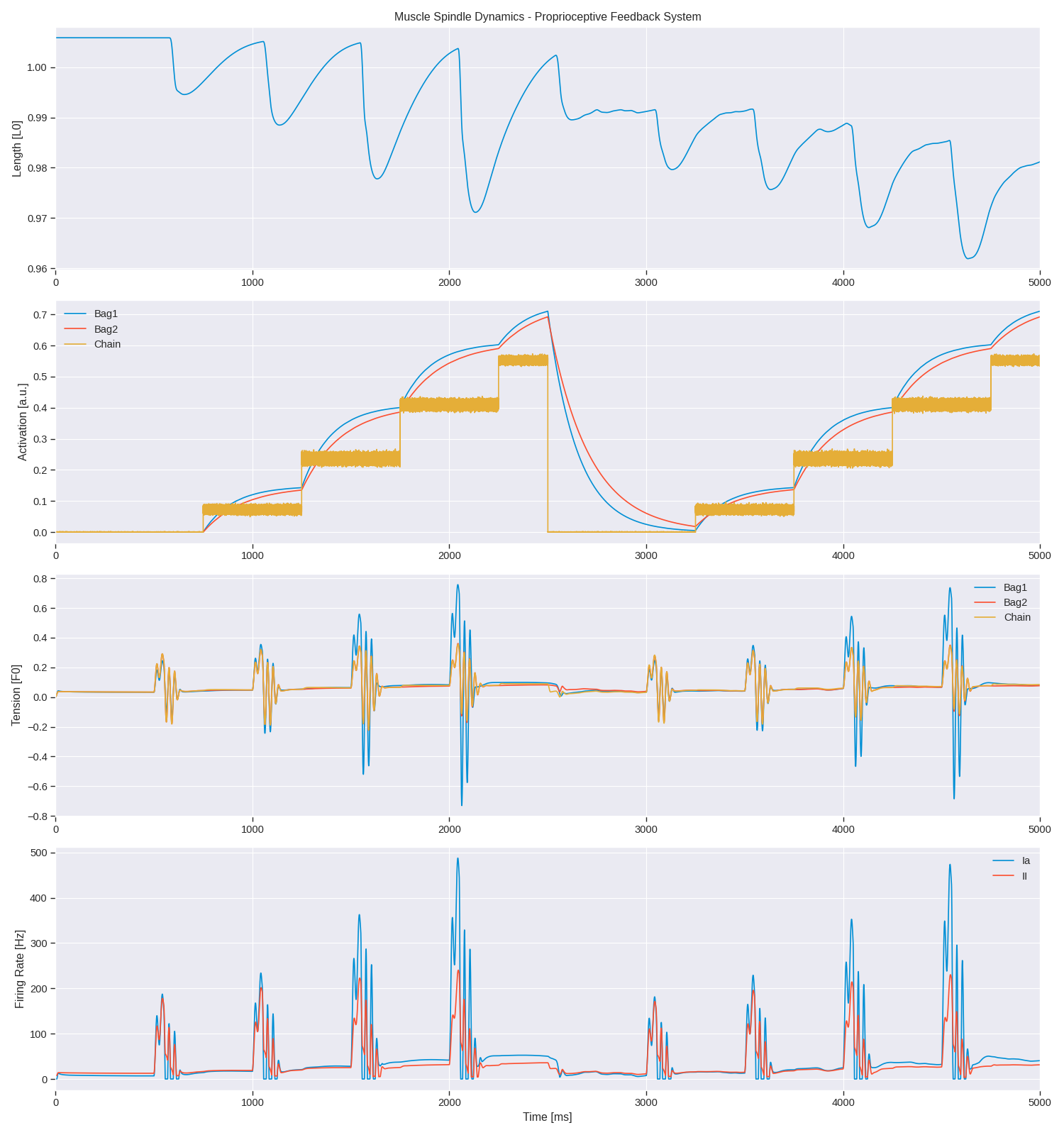 Muscle Spindle Dynamics - Proprioceptive Feedback System
