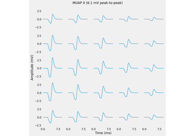 Surface Motor Unit Action Potentials