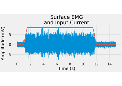 Surface EMG Signals