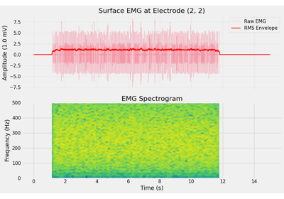 Extracting Data from Neo Blocks