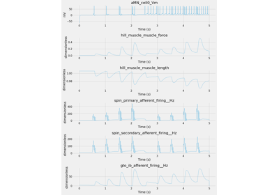Loading and Inspecting NWB Data