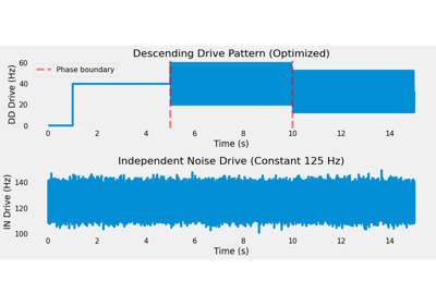 Spinal Network Simulation with Optimized DC Offset